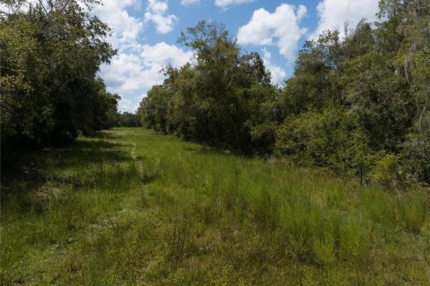 Terreno en venta en Thonotosassa, Florida № 1354058 - foto 20