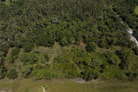 Terrain à vendre à Thonotosassa, Floride № 1354058 - photo 6