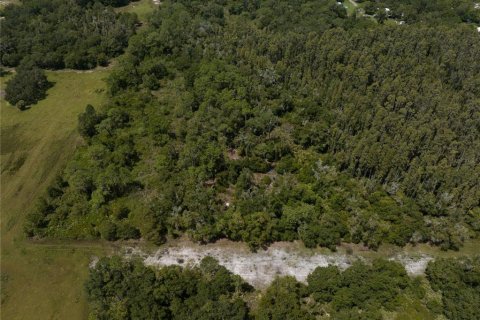 Terreno en venta en Thonotosassa, Florida № 1354058 - foto 11