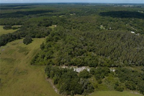 Terrain à vendre à Thonotosassa, Floride № 1354058 - photo 12