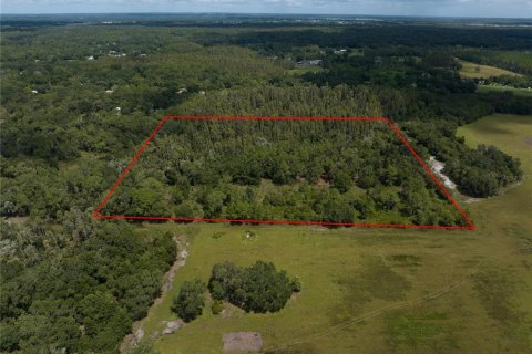 Land in Thonotosassa, Florida № 1354058 - photo 3