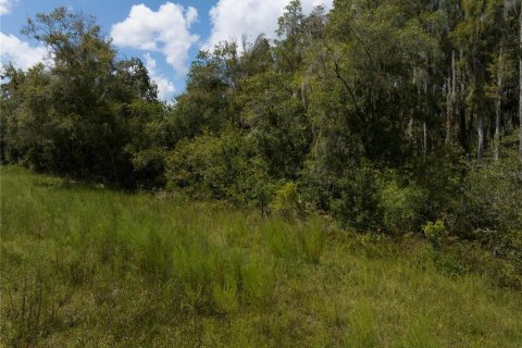 Terreno en venta en Thonotosassa, Florida № 1354058 - foto 21