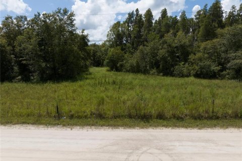 Land in Thonotosassa, Florida № 1354058 - photo 23