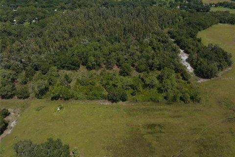 Terrain à vendre à Thonotosassa, Floride № 1354058 - photo 7