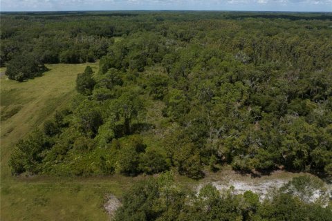 Terrain à vendre à Thonotosassa, Floride № 1354058 - photo 8