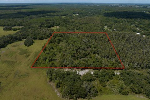 Terreno en venta en Thonotosassa, Florida № 1354058 - foto 2