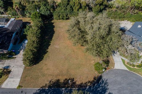 Terreno en venta en Lakeland, Florida № 1158348 - foto 4