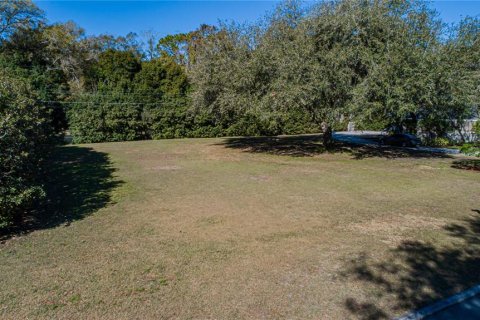 Land in Lakeland, Florida № 1158348 - photo 3