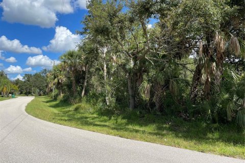 Land in Port Charlotte, Florida № 1300938 - photo 4