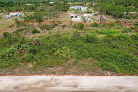 Land in Punta Gorda, Florida № 1386400 - photo 14