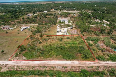 Land in Punta Gorda, Florida № 1386400 - photo 3