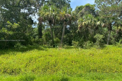 Купить земельный участок в Сент-Луси, Флорида № 825207 - фото 4