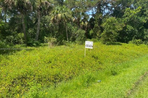 Купить земельный участок в Сент-Луси, Флорида № 825207 - фото 3