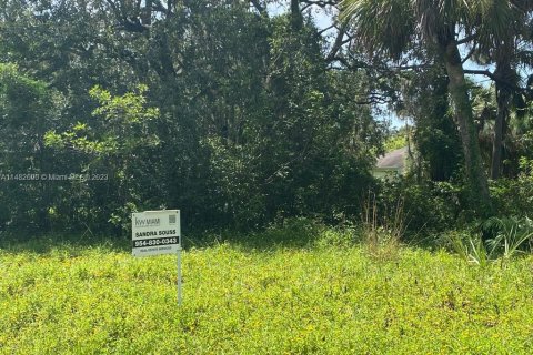 Купить земельный участок в Сент-Луси, Флорида № 825207 - фото 2