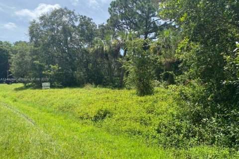 Купить земельный участок в Сент-Луси, Флорида № 825207 - фото 5