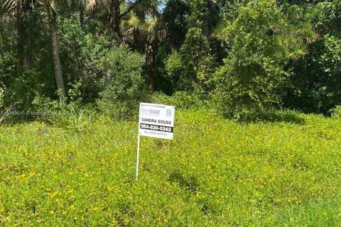 Купить земельный участок в Сент-Луси, Флорида № 825207 - фото 1