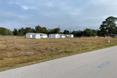 Terrain à vendre à Punta Gorda, Floride № 218103 - photo 6