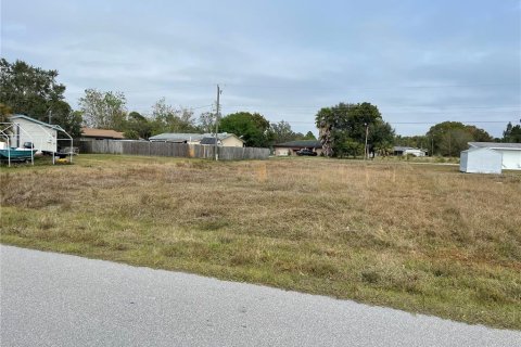 Terreno en venta en Punta Gorda, Florida № 218103 - foto 3