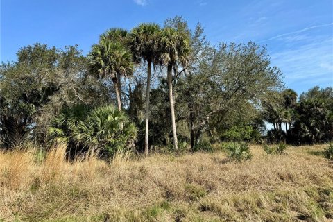 Terreno en venta en Clewiston, Florida № 994490 - foto 8