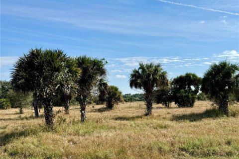 Terrain à vendre à Clewiston, Floride № 994490 - photo 12