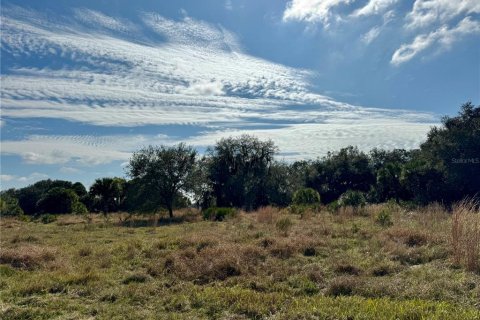 Terrain à vendre à Clewiston, Floride № 994490 - photo 6