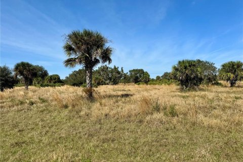 Terrain à vendre à Clewiston, Floride № 994490 - photo 15