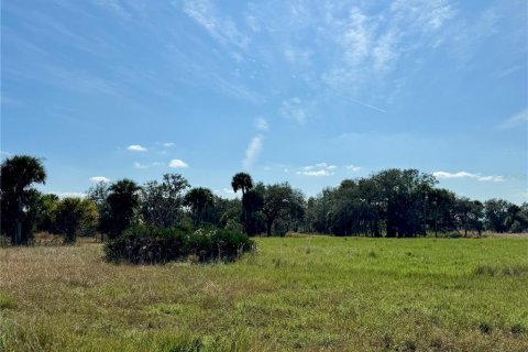 Terrain à vendre à Clewiston, Floride № 994490 - photo 13
