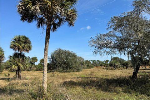Terreno en venta en Clewiston, Florida № 994490 - foto 4