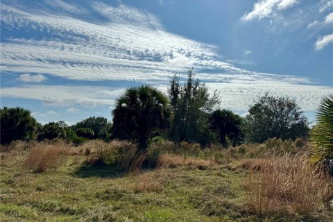 Terrain à vendre à Clewiston, Floride № 994490 - photo 7
