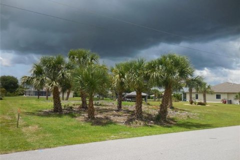 Land in Port Charlotte, Florida № 219521 - photo 8
