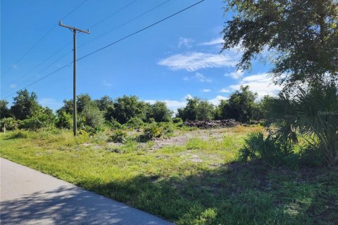 Terrain à vendre à Punta Gorda, Floride № 1346578 - photo 6