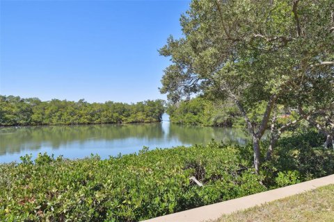 Condo in South Pasadena, Florida, 1 bedroom  № 1373365 - photo 30