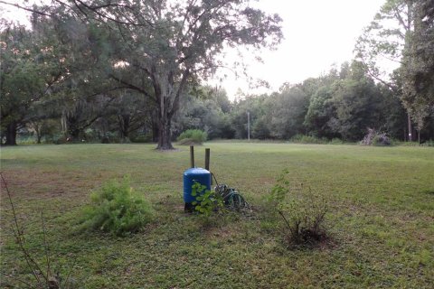 Land in Land O' Lakes, Florida № 1323698 - photo 11