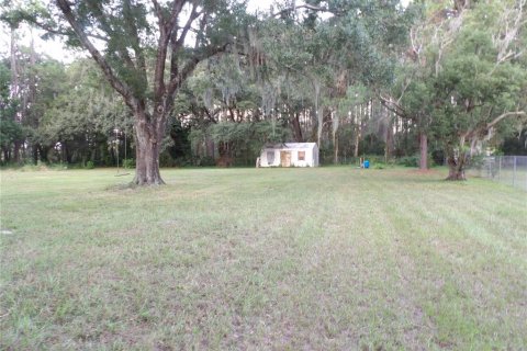 Terreno en venta en Land O' Lakes, Florida № 1323698 - foto 14