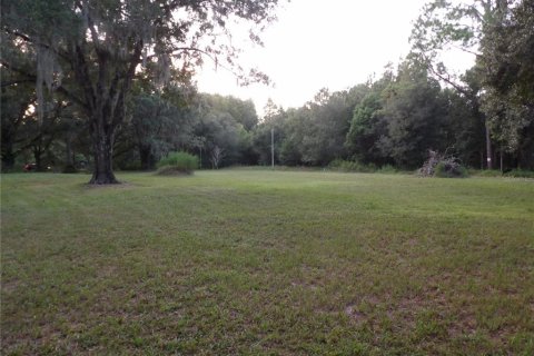 Terreno en venta en Land O' Lakes, Florida № 1323698 - foto 10