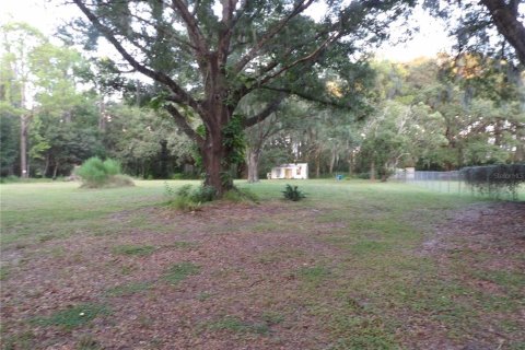 Terreno en venta en Land O' Lakes, Florida № 1323698 - foto 2