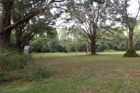 Terreno en venta en Land O' Lakes, Florida № 1323698 - foto 3