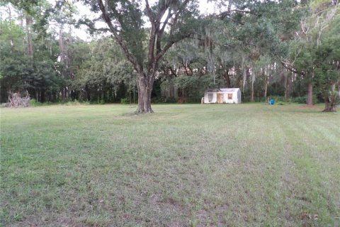 Terreno en venta en Land O' Lakes, Florida № 1323698 - foto 15