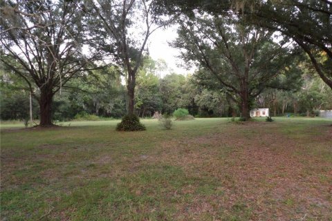 Terreno en venta en Land O' Lakes, Florida № 1323698 - foto 1