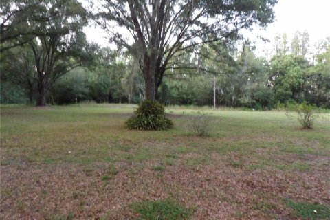 Terreno en venta en Land O' Lakes, Florida № 1323698 - foto 16