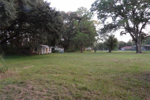 Terreno en venta en Land O' Lakes, Florida № 1323698 - foto 5