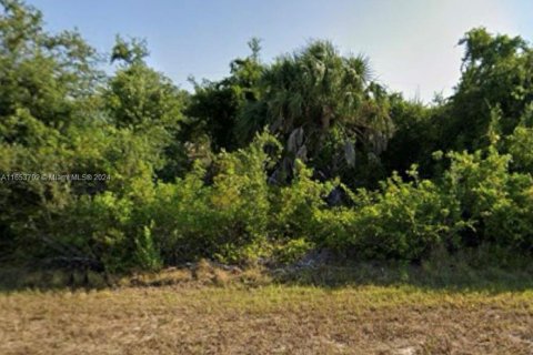 Terreno en venta en Port Charlotte, Florida № 1377178 - foto 2