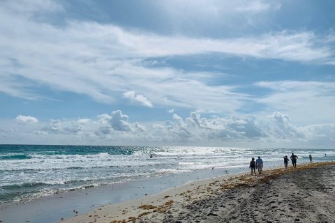 Condo in Deerfield Beach, Florida, 1 bedroom  № 1162038 - photo 2