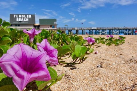 Touwnhouse à vendre à Palm Coast, Floride: 2 chambres, 133.97 m2 № 947245 - photo 30