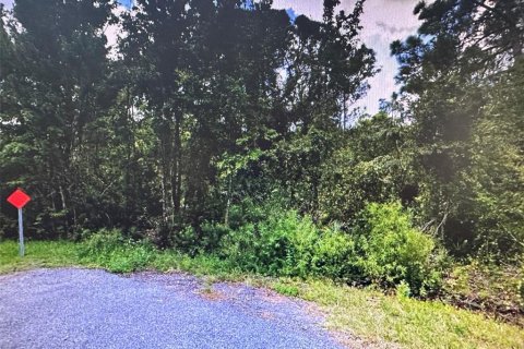 Terreno en venta en Okeechobee, Florida № 1295306 - foto 1