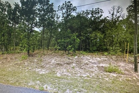 Terreno en venta en Citrus Springs, Florida № 1295309 - foto 1