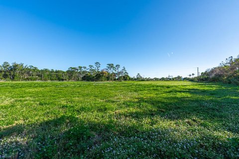 Terrain à vendre à Loxahatchee Groves, Floride № 40533 - photo 11