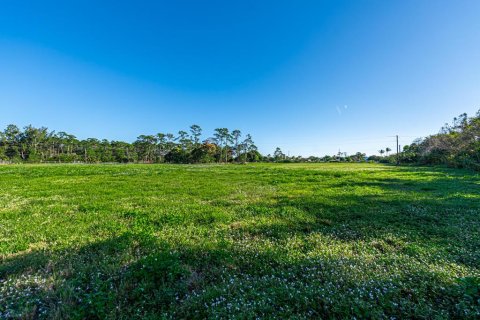 Купить земельный участок в Локсахатчи-Гроувс, Флорида № 40533 - фото 10