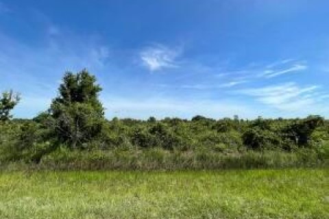 Land in Okeechobee, Florida № 748320 - photo 14