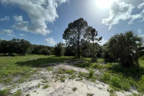 Terreno en venta en Okeechobee, Florida № 748320 - foto 2